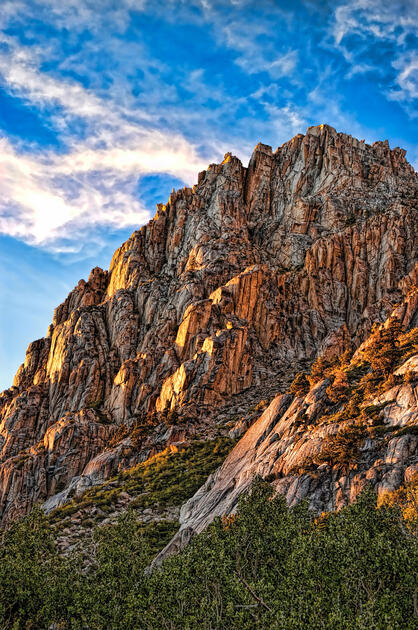 Stanislaus National Forest