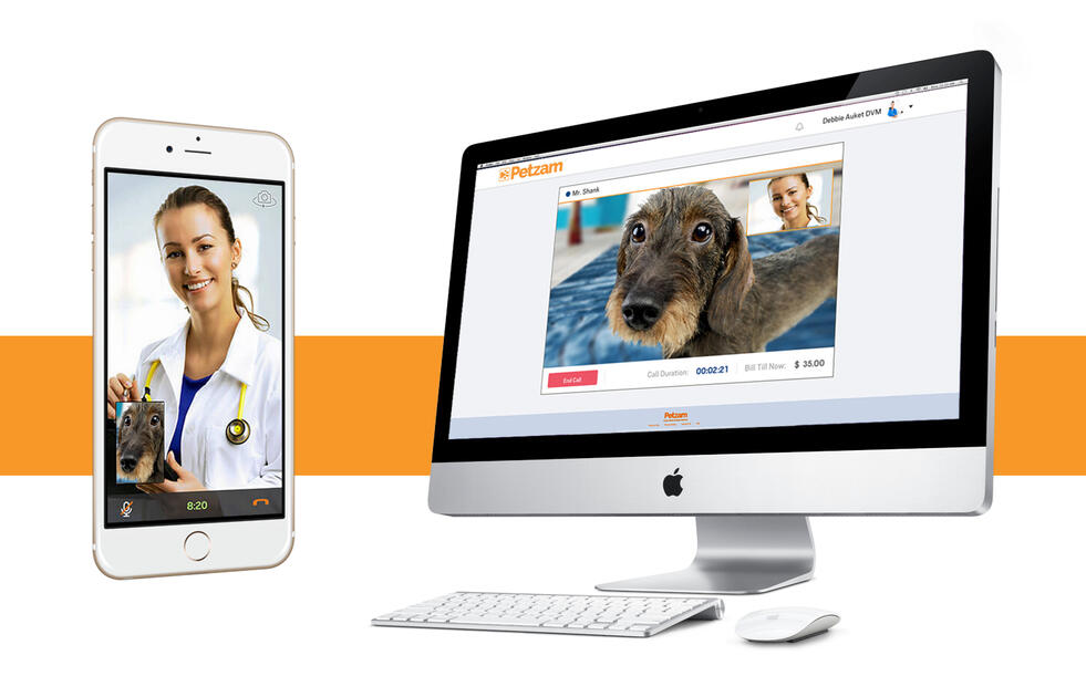 Petzam - Veterinary Telemedicine Mobile App